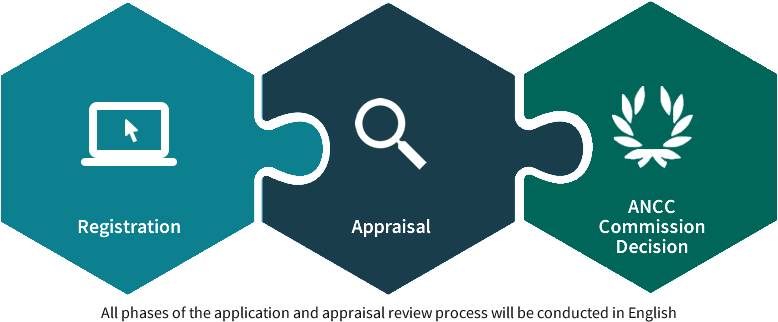 phases of the application and appraisal review process