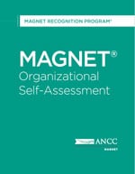 magnet program definition