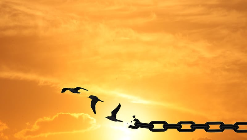 An abstract image of a black silhouette of a chain shown against an orange sunrise. The end of the chain has links which are coming apart and turning into birds which are flying away.