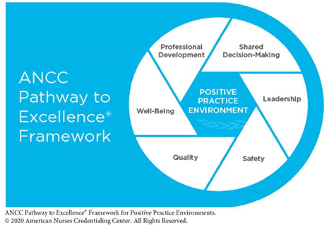 Overview of the ANCC Pathway to Excellence Program | ANA